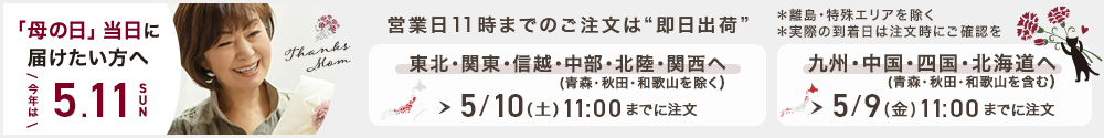 /img/cabinet/bn-info-mo.jpg