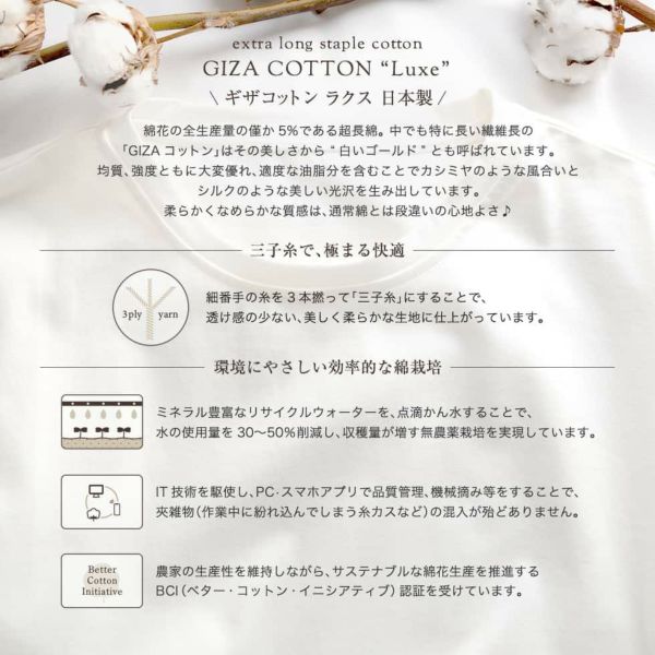 特別なコットン GIZA(ギザ)Tシャツ メンズ レディース 兼用 特別なコットン GIZA(ギザ)Tシャツ メンズ レディース 兼用